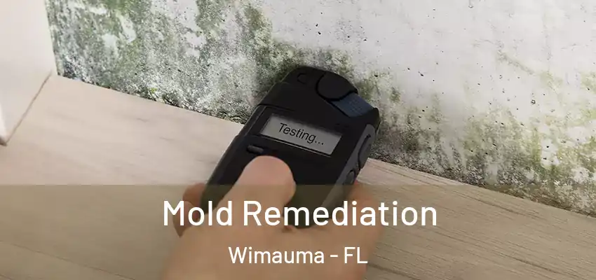Mold Remediation Wimauma - FL