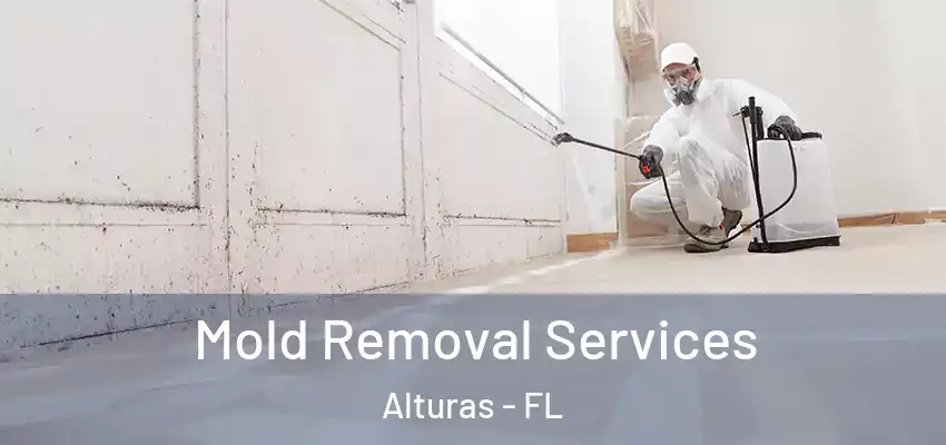  Mold Removal Services Alturas - FL