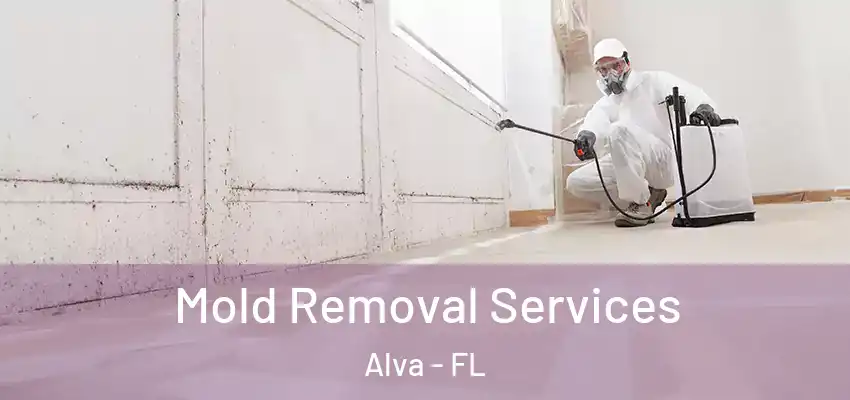  Mold Removal Services Alva - FL