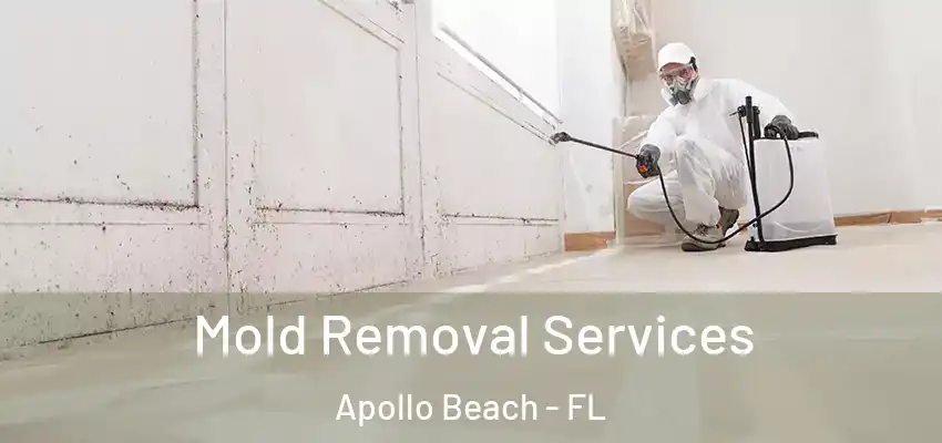  Mold Removal Services Apollo Beach - FL