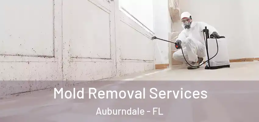  Mold Removal Services Auburndale - FL