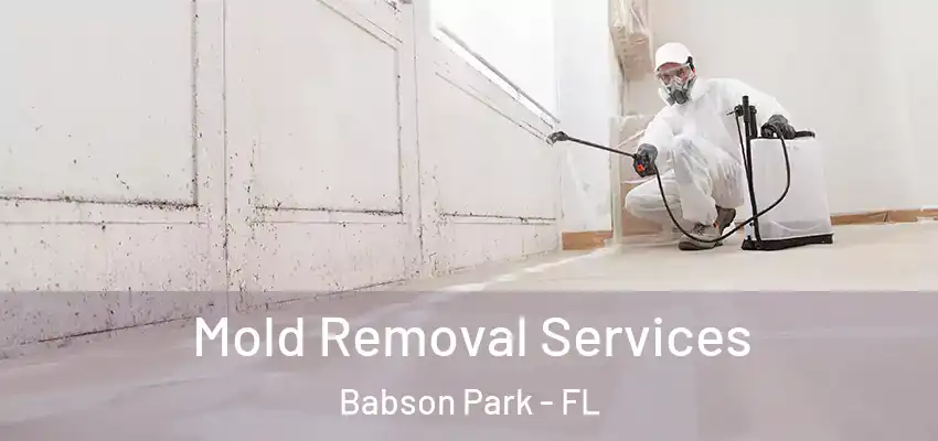  Mold Removal Services Babson Park - FL