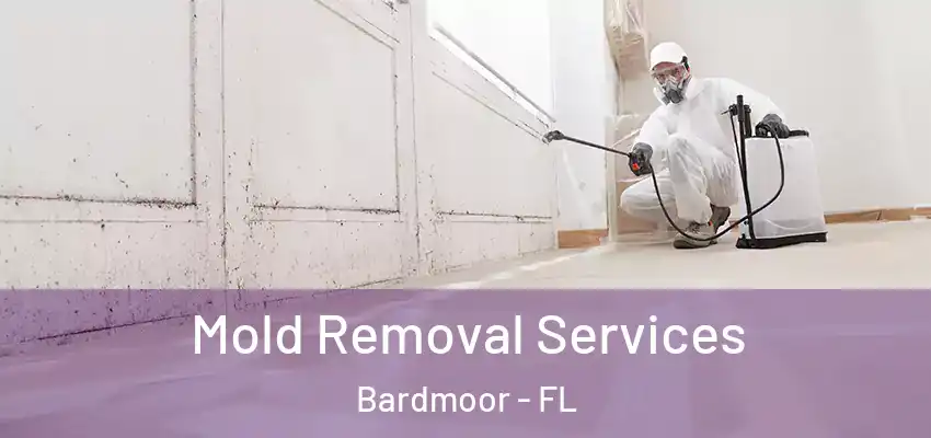 Mold Removal Services Bardmoor - FL