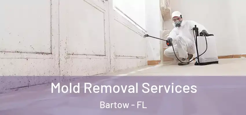  Mold Removal Services Bartow - FL
