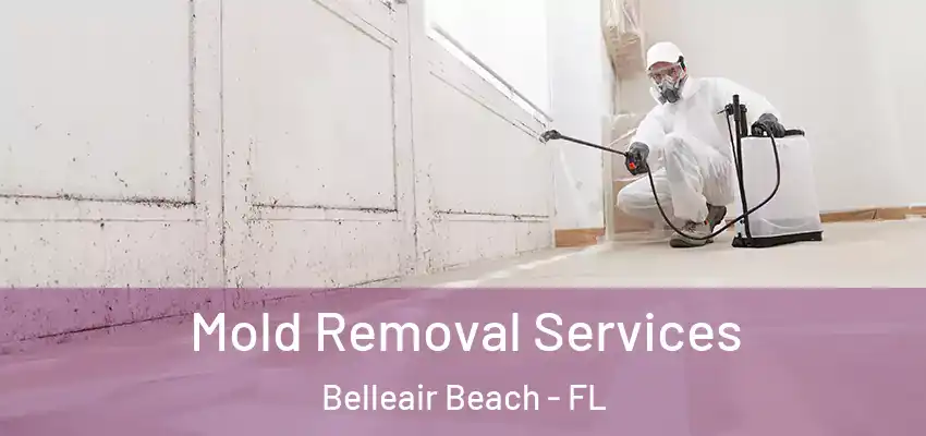  Mold Removal Services Belleair Beach - FL