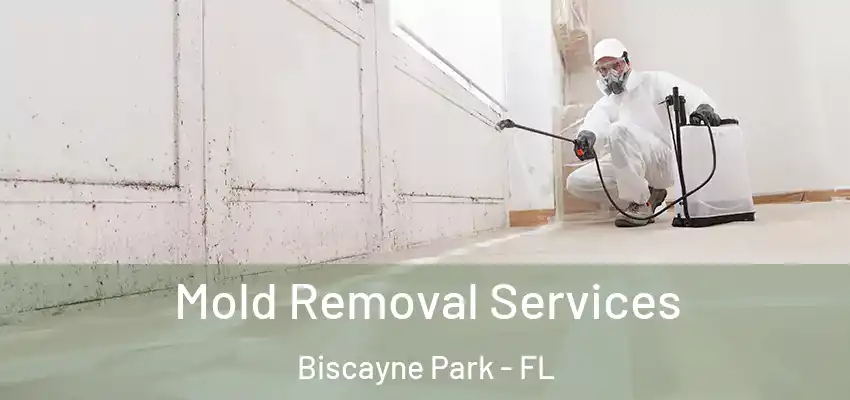 Mold Removal Services Biscayne Park - FL