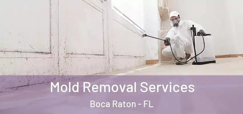 Mold Removal Services Boca Raton - FL