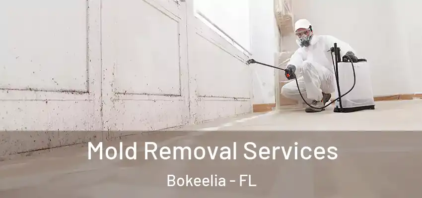  Mold Removal Services Bokeelia - FL