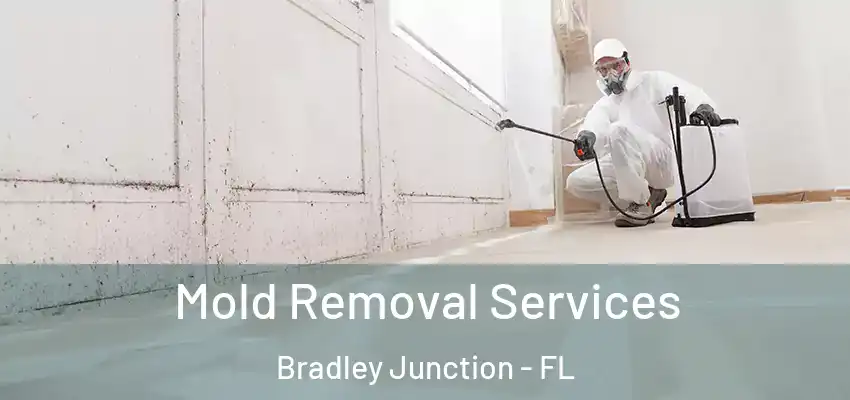 Mold Removal Services Bradley Junction - FL