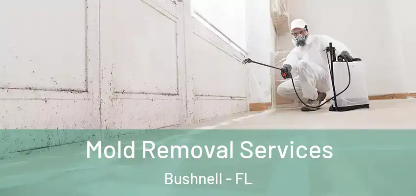  Mold Removal Services Bushnell - FL