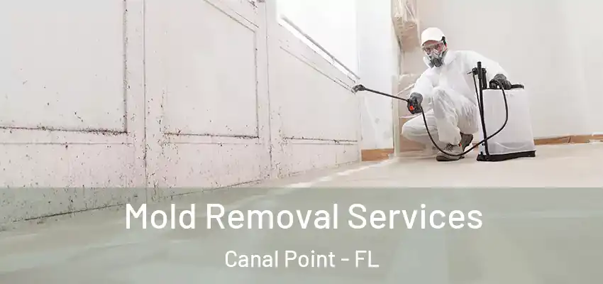  Mold Removal Services Canal Point - FL