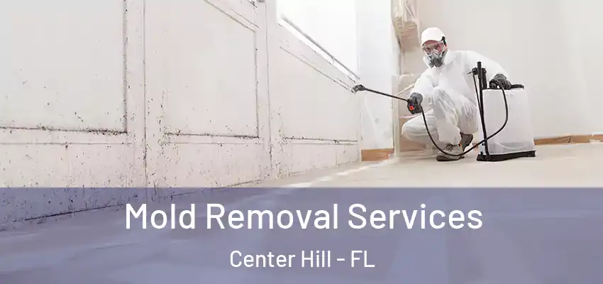  Mold Removal Services Center Hill - FL
