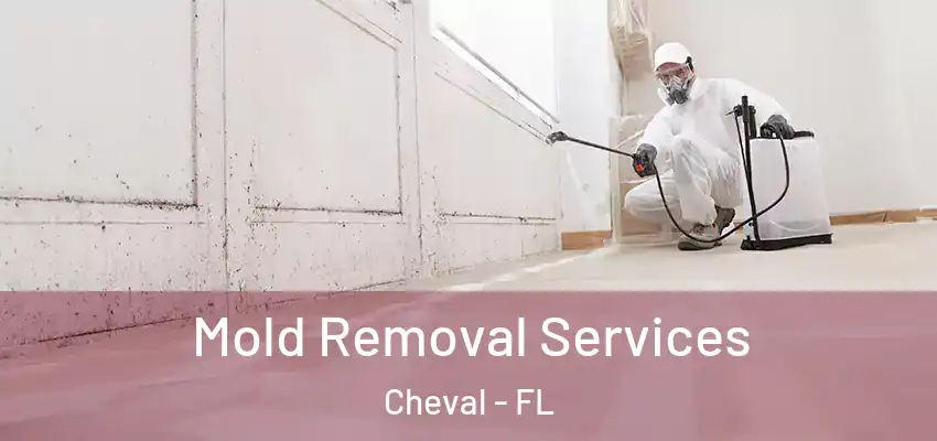  Mold Removal Services Cheval - FL