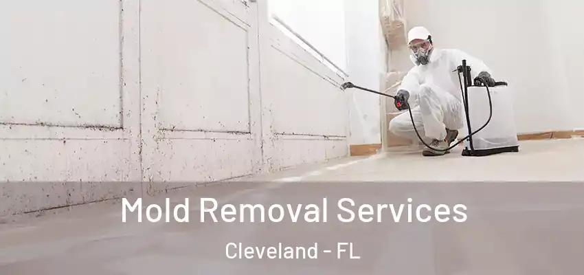  Mold Removal Services Cleveland - FL