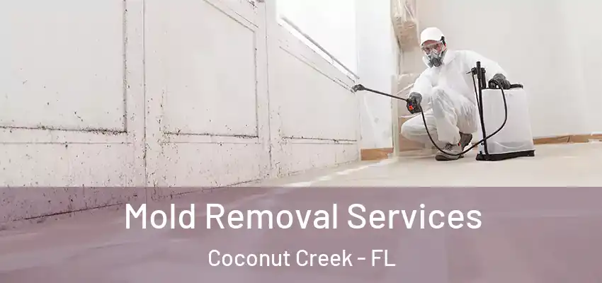 Mold Removal Services Coconut Creek - FL