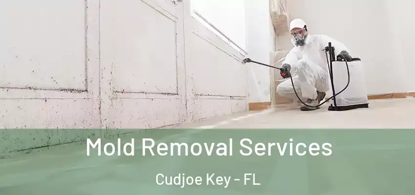  Mold Removal Services Cudjoe Key - FL