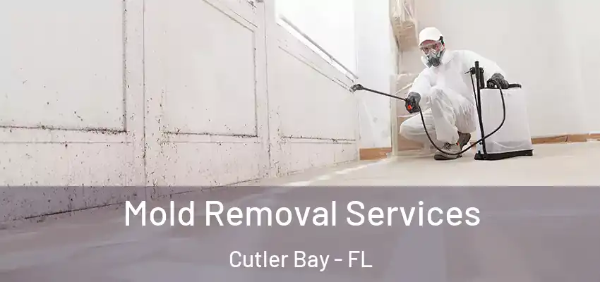  Mold Removal Services Cutler Bay - FL
