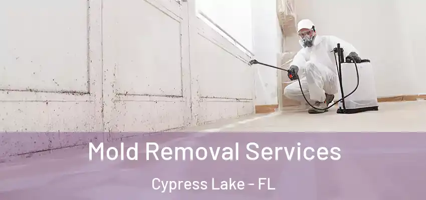  Mold Removal Services Cypress Lake - FL