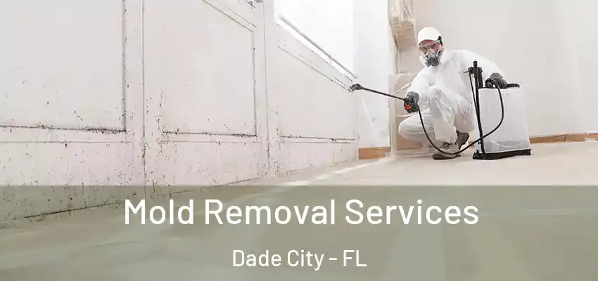 Mold Removal Services Dade City - FL