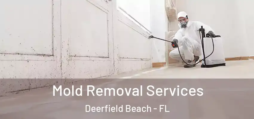  Mold Removal Services Deerfield Beach - FL