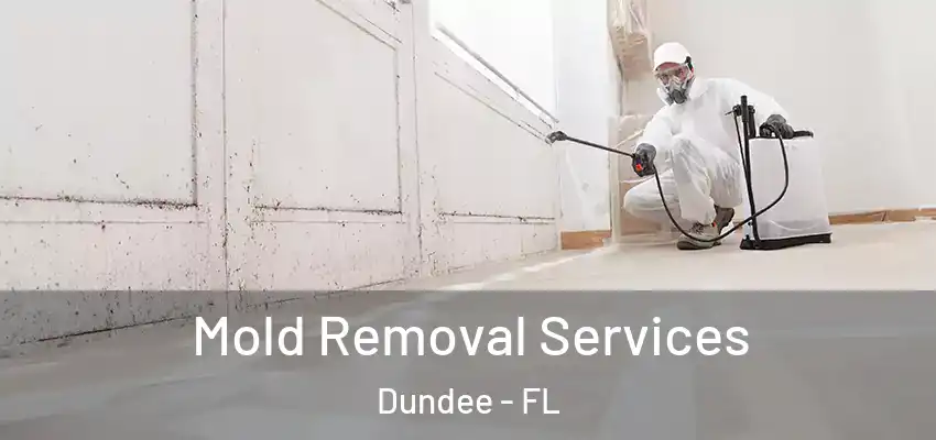 Mold Removal Services Dundee - FL