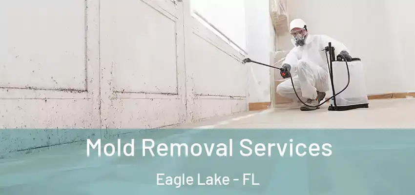 Mold Removal Services Eagle Lake - FL