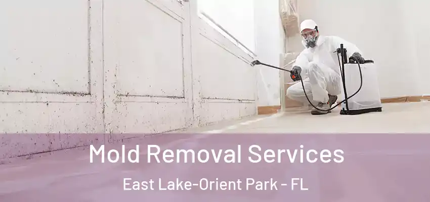  Mold Removal Services East Lake-Orient Park - FL