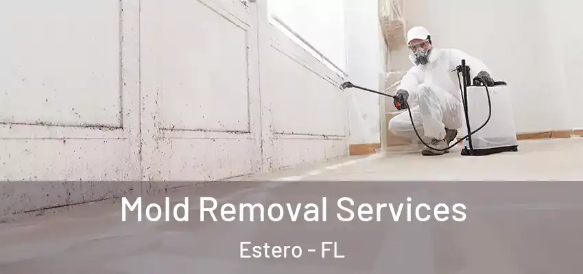 Mold Removal Services Estero - FL