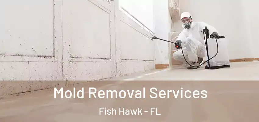 Mold Removal Services Fish Hawk - FL