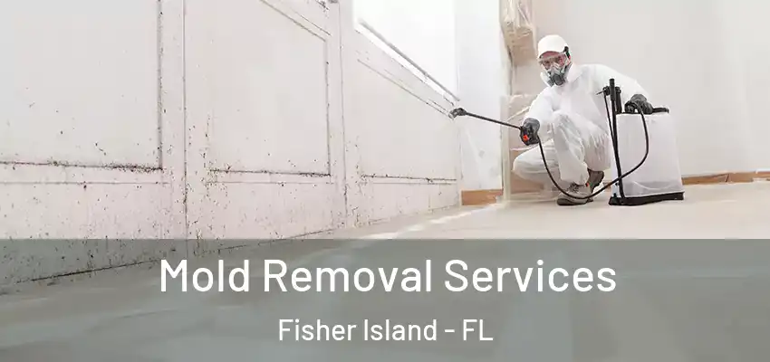  Mold Removal Services Fisher Island - FL