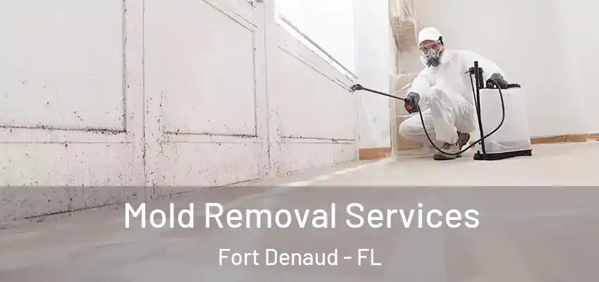 Mold Removal Services Fort Denaud - FL