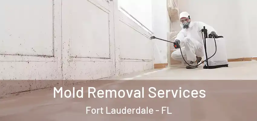  Mold Removal Services Fort Lauderdale - FL