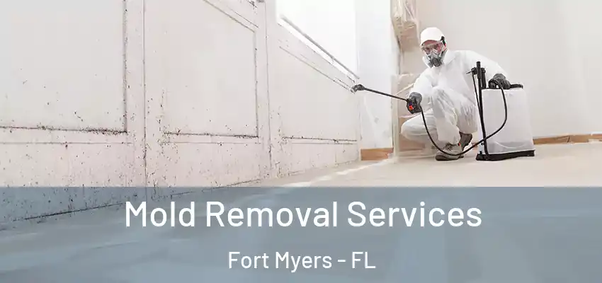 Mold Removal Services Fort Myers - FL