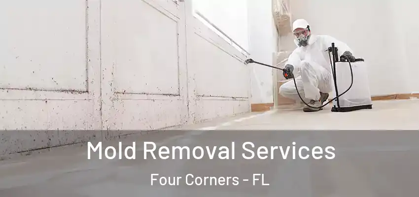  Mold Removal Services Four Corners - FL