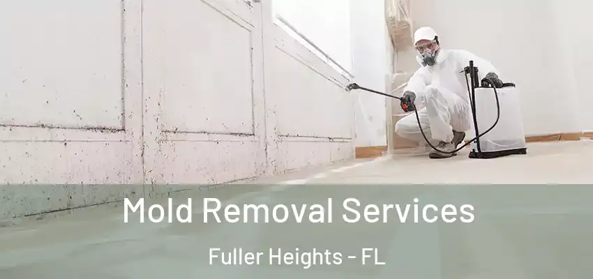 Mold Removal Services Fuller Heights - FL