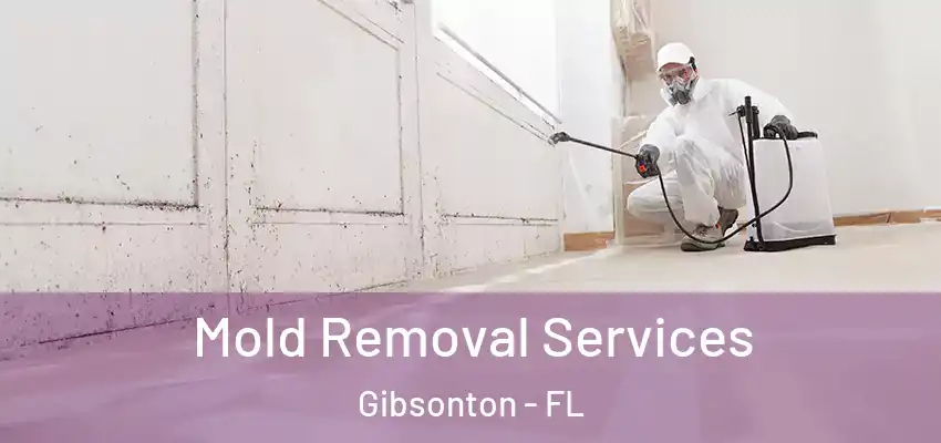 Mold Removal Services Gibsonton - FL