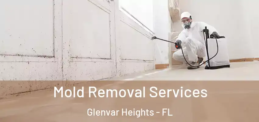  Mold Removal Services Glenvar Heights - FL