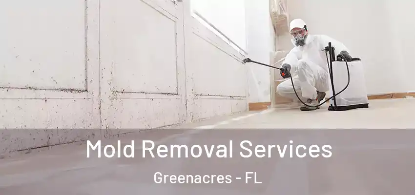 Mold Removal Services Greenacres - FL