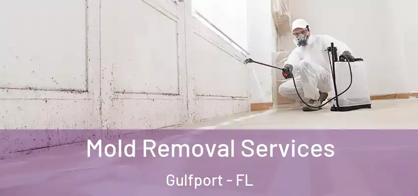Mold Removal Services Gulfport - FL