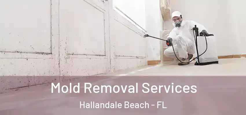  Mold Removal Services Hallandale Beach - FL