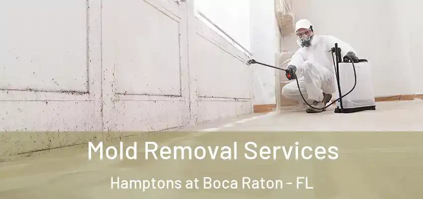  Mold Removal Services Hamptons at Boca Raton - FL