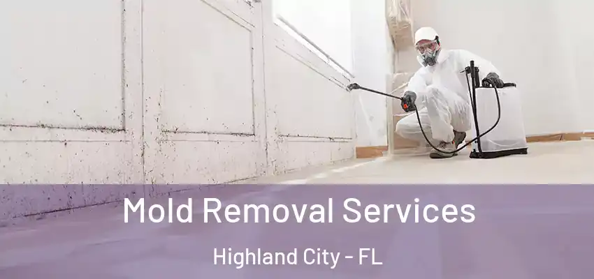  Mold Removal Services Highland City - FL