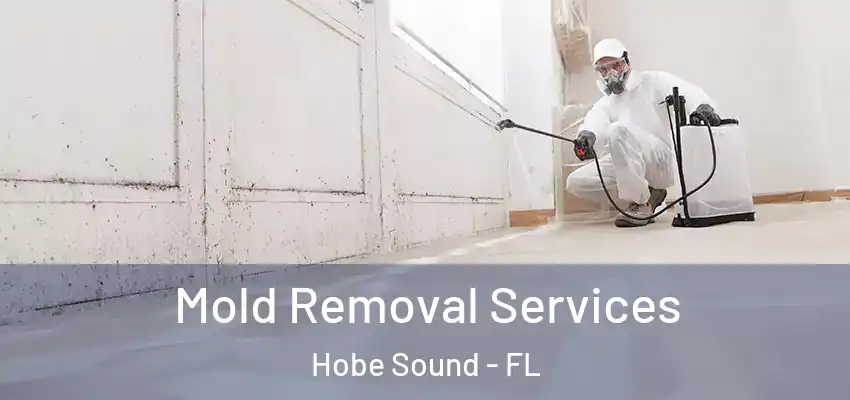  Mold Removal Services Hobe Sound - FL