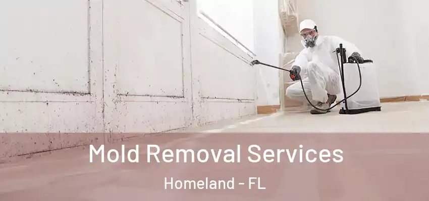 Mold Removal Services Homeland - FL