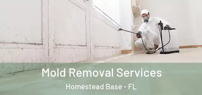 Mold Removal Services Homestead Base - FL