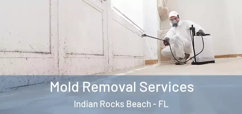  Mold Removal Services Indian Rocks Beach - FL