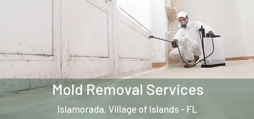 Mold Removal Services Islamorada, Village of Islands - FL