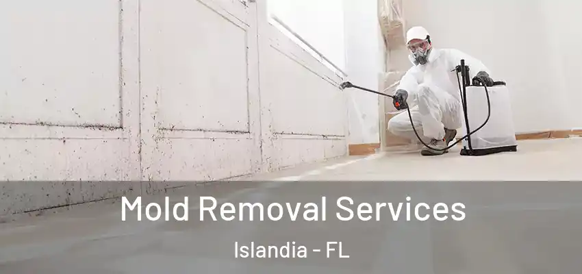  Mold Removal Services Islandia - FL