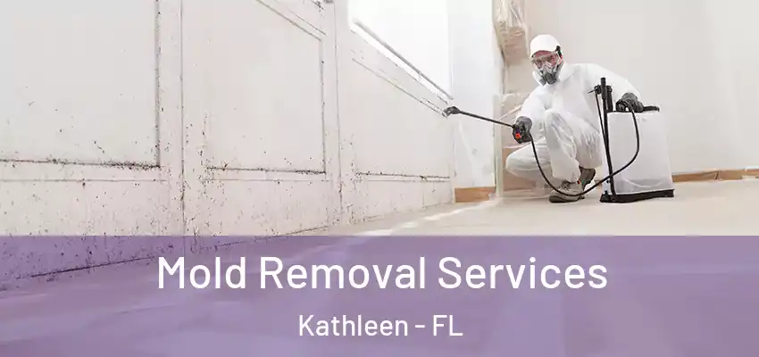 Mold Removal Services Kathleen - FL