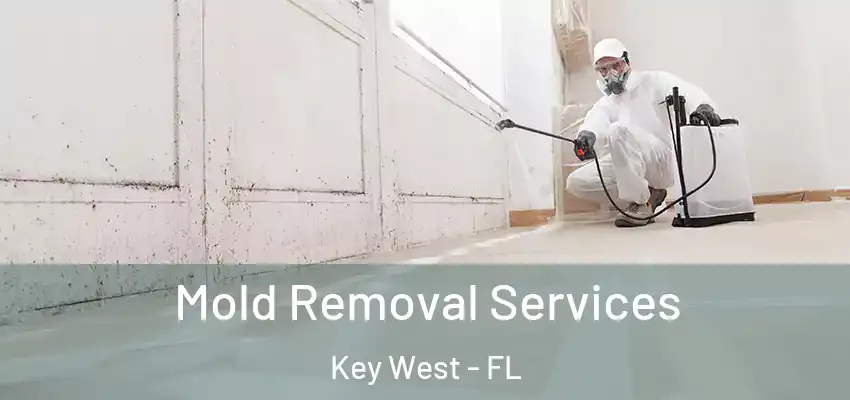 Mold Removal Services Key West - FL